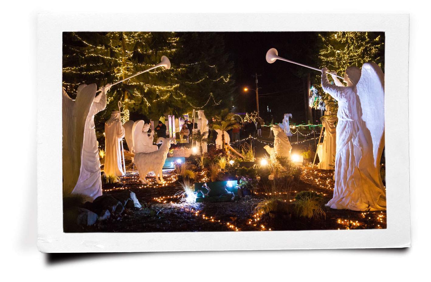 Contact The Lights of Christmas We Would Love to Hear From You