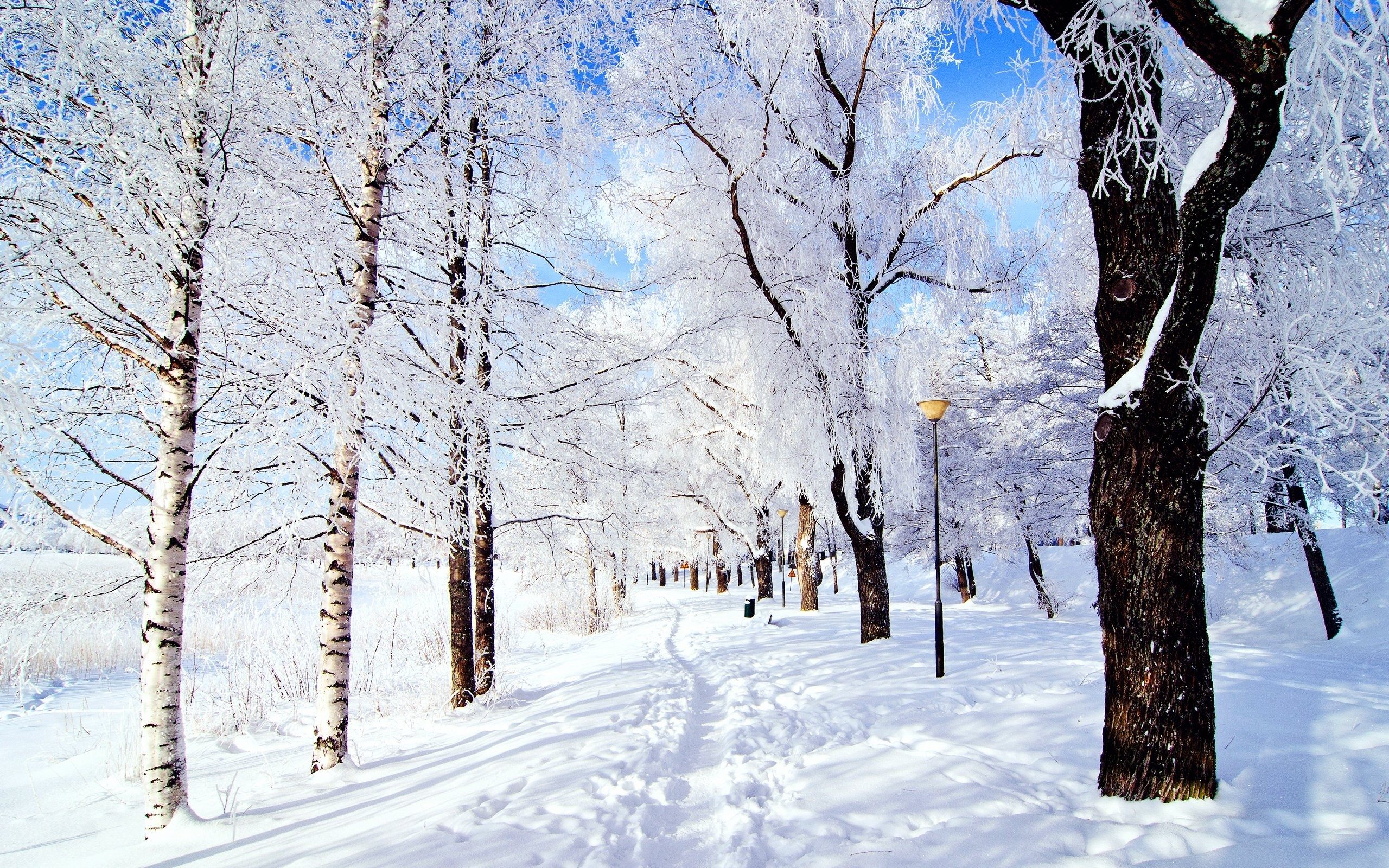 10 Snow Facts to Make You Feel Festive The List Love