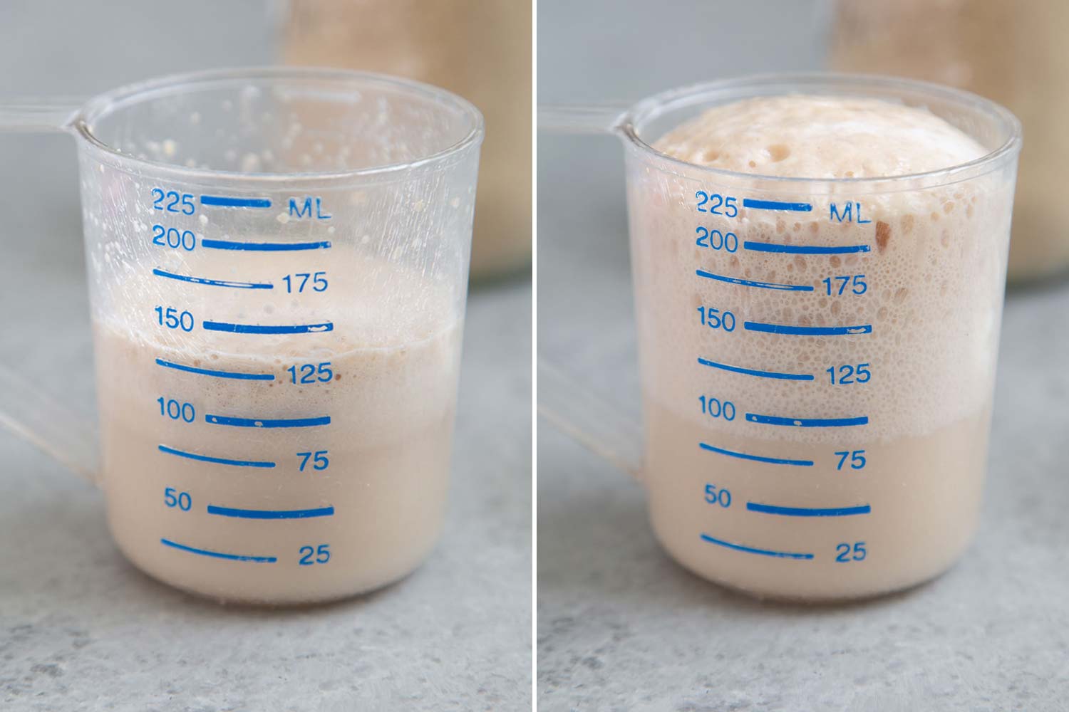Baking With Yeast The Little Epicurean