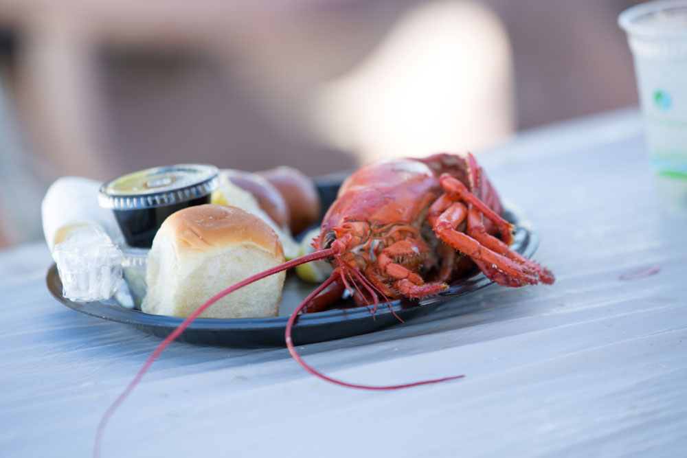 Crustaceans take center stage at Redondo Beach Lobster Fest The Log