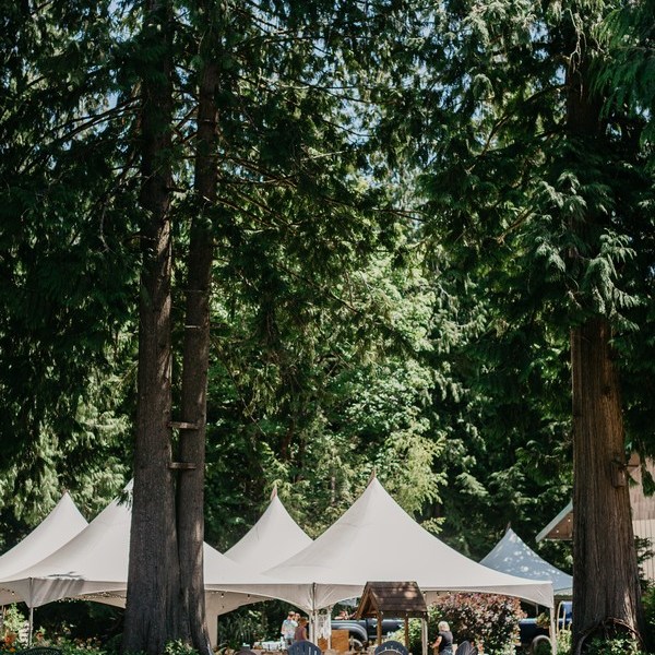 Snohomish Wedding Venue The Lookout Lodge Bride Groom Bridesmaid Groomsmen Woodland Wedding Venue With Mountain Views