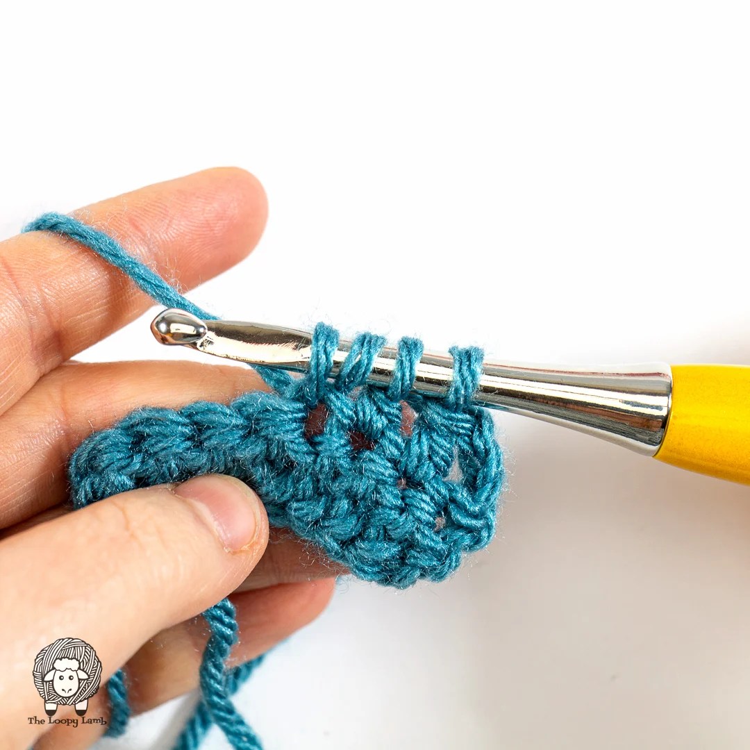 How to do a Double Crochet Decrease or DC2TOG The Loopy Lamb