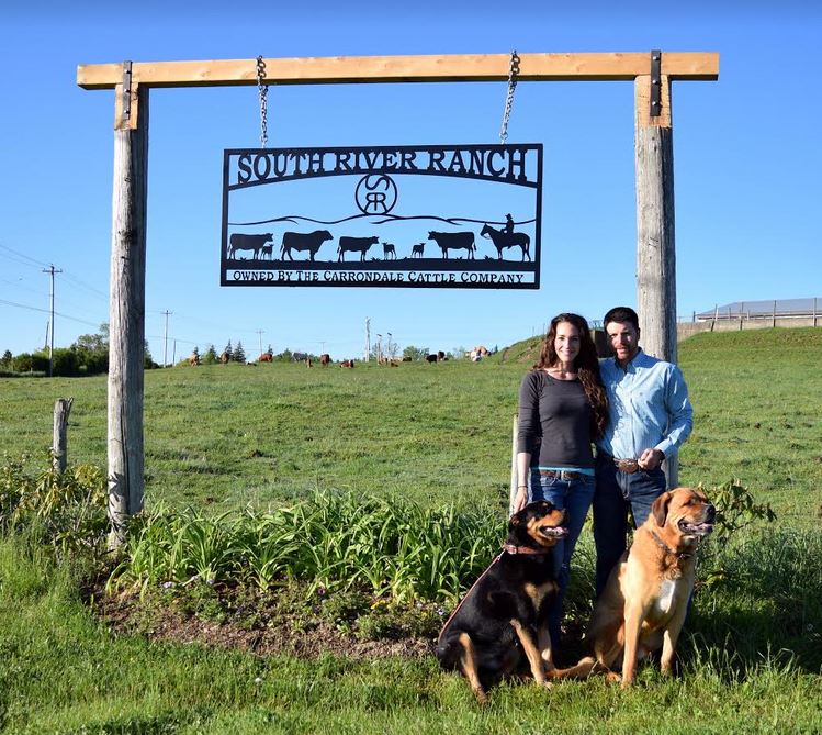 Farm Fresh Beef On The Menu At South River Ranch In Antigonish County