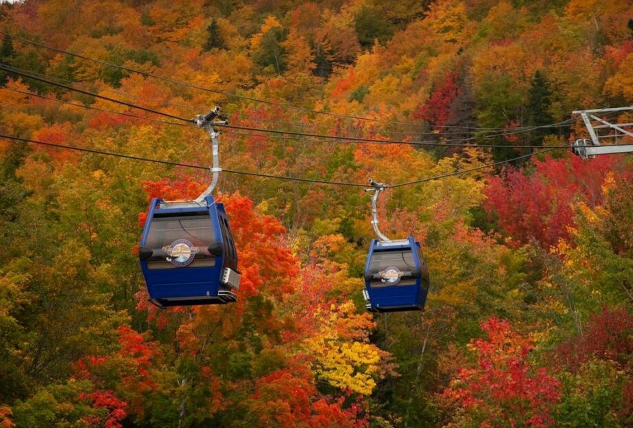 Cape Smokey's Gondola Part Of Ambitious LongTerm Plan The Macdonald