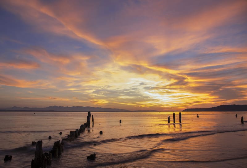 Picnic Point Real Estate Picnic Point Homes For Sale