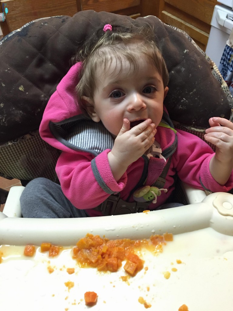 Baby Brezza One Step Food Maker