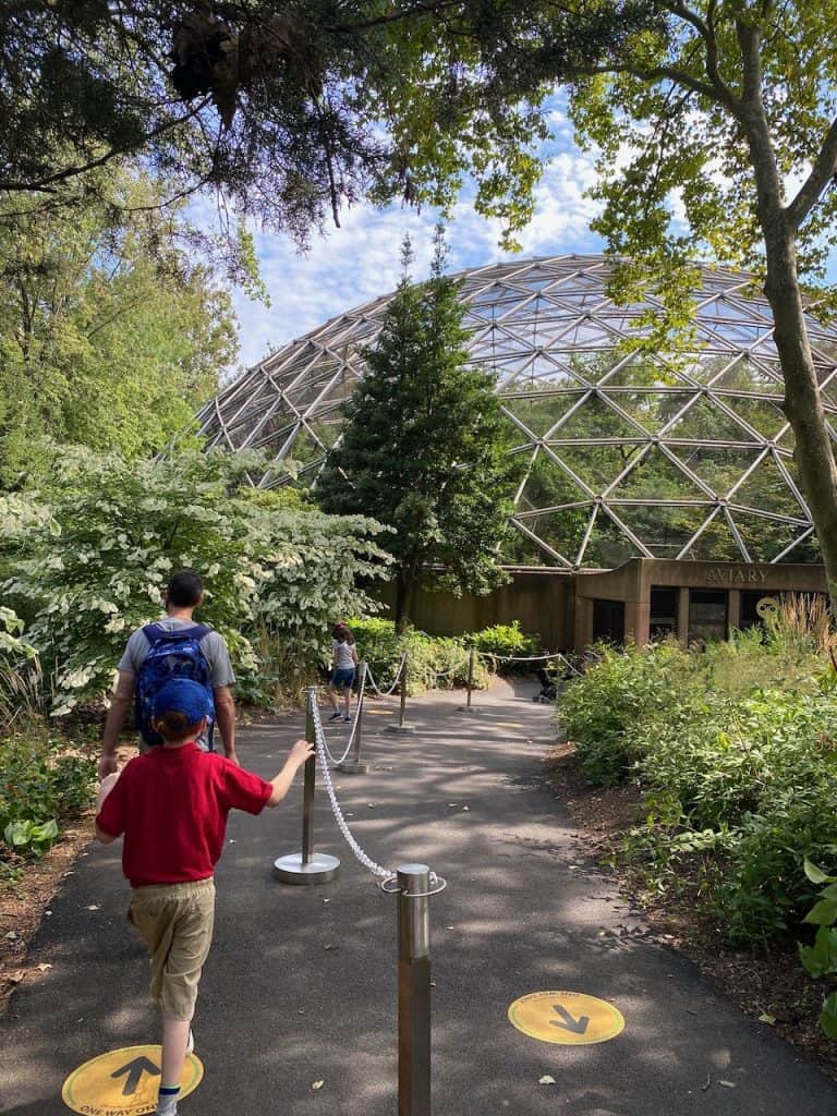 Visiting the Queens Zoo in NYC (During the Pandemic) The Mama Maven Blog