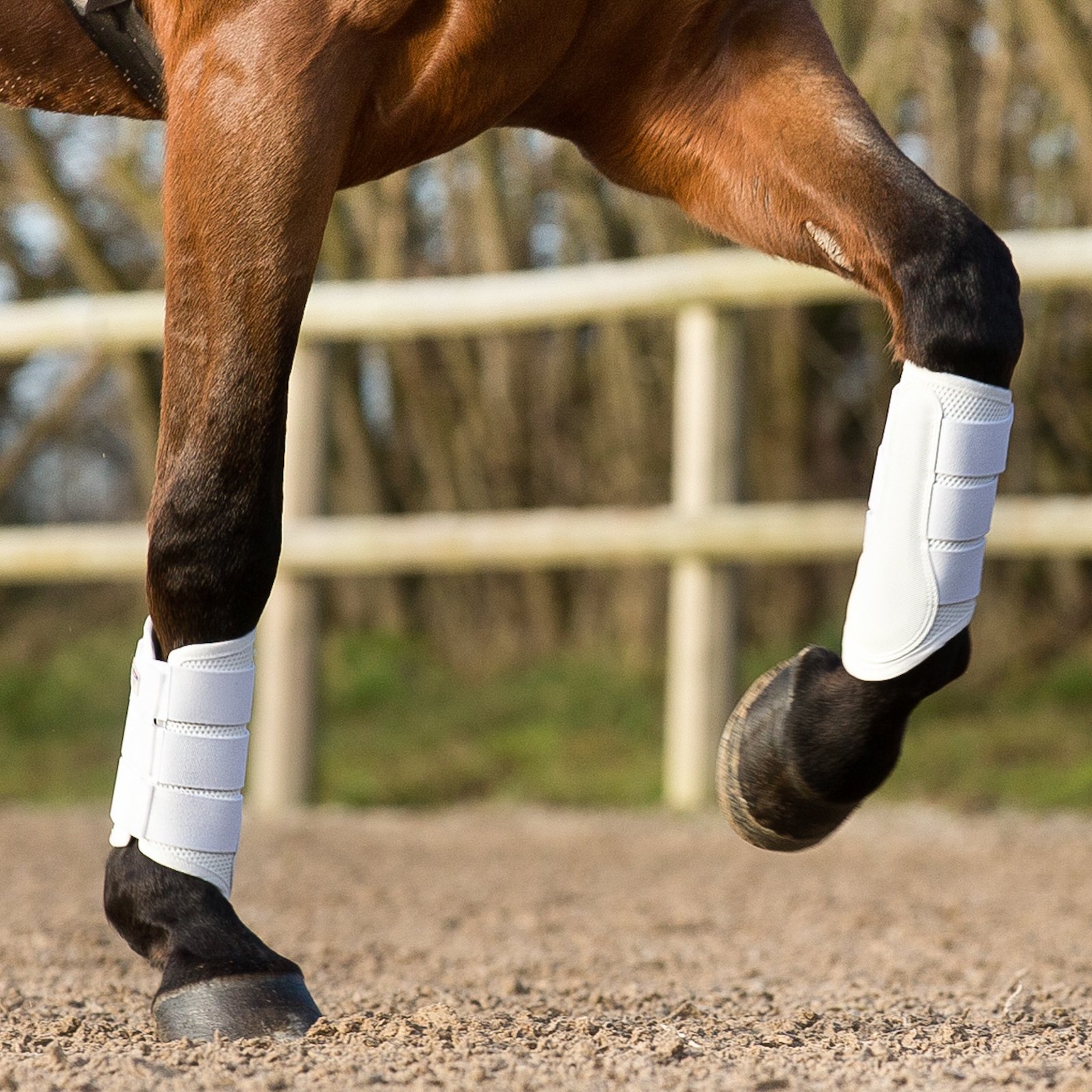 Dressage Boots For Horses Are A Benefit To Them
