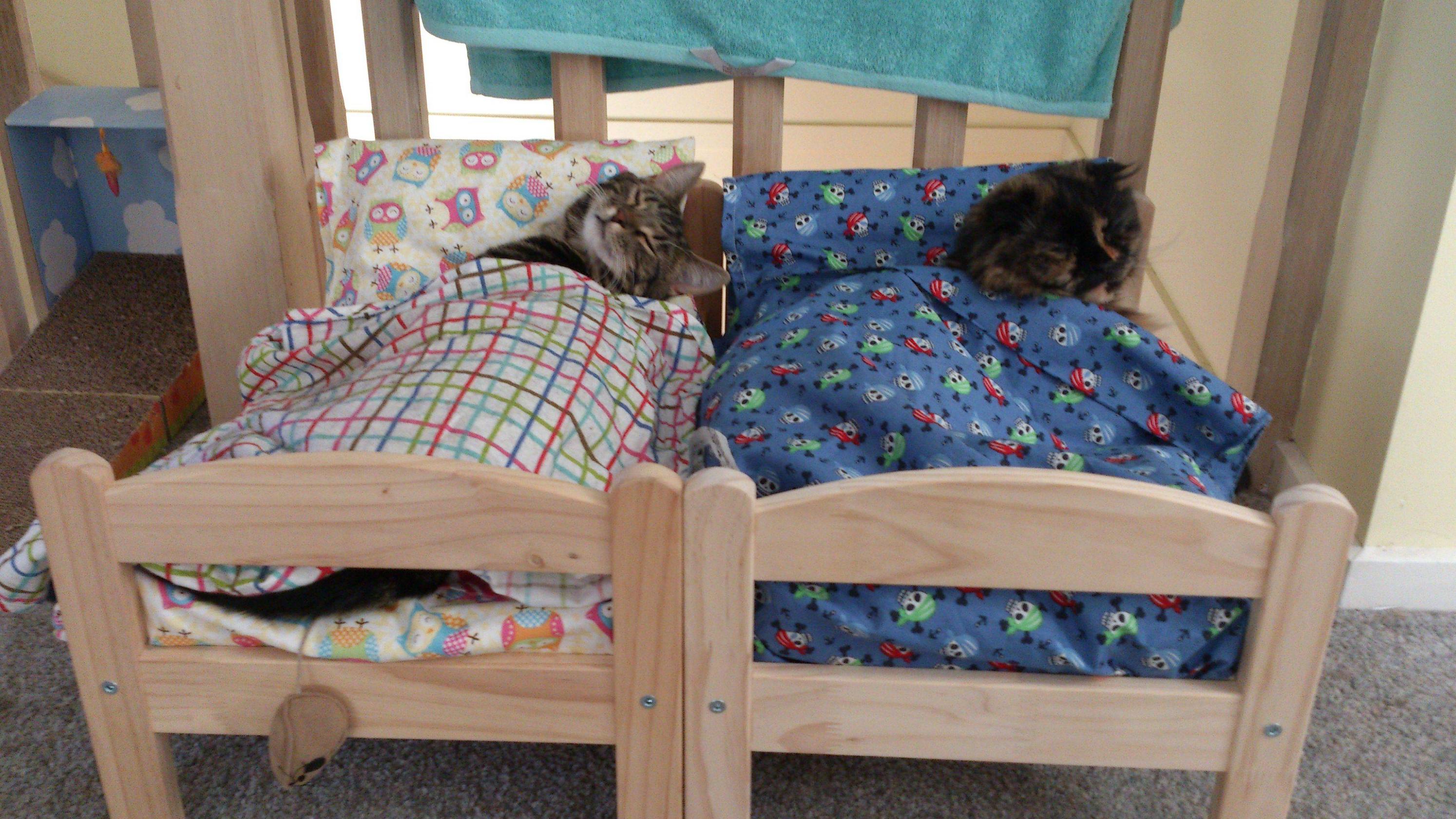 DIY Cats Sleeping in IKEA Dolls Beds Cute The Mary Sue