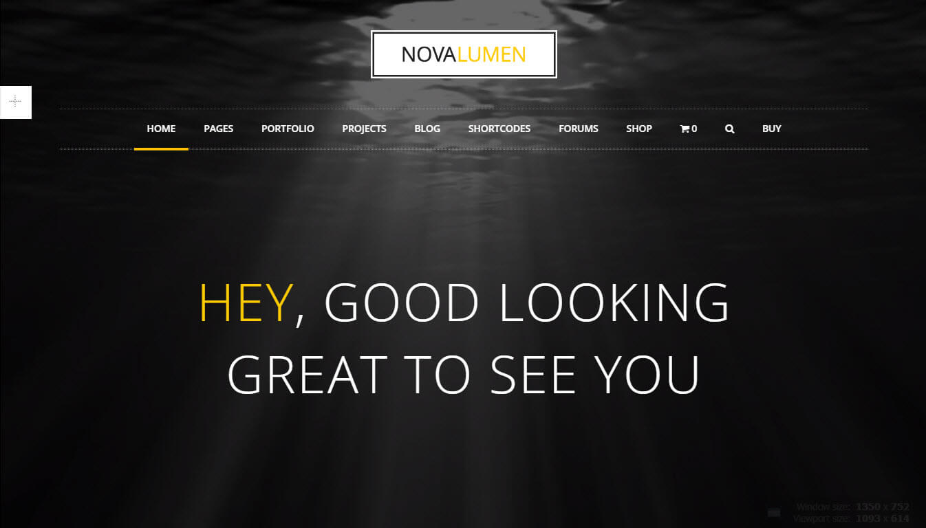 60+ Best Video Background WordPress Themes 2020 (Free & Premium