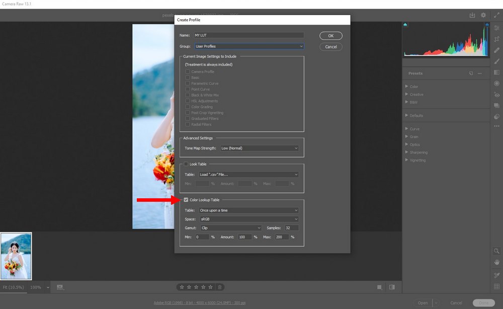 Cara Menggunakan LUT di Lightroom & Desainae