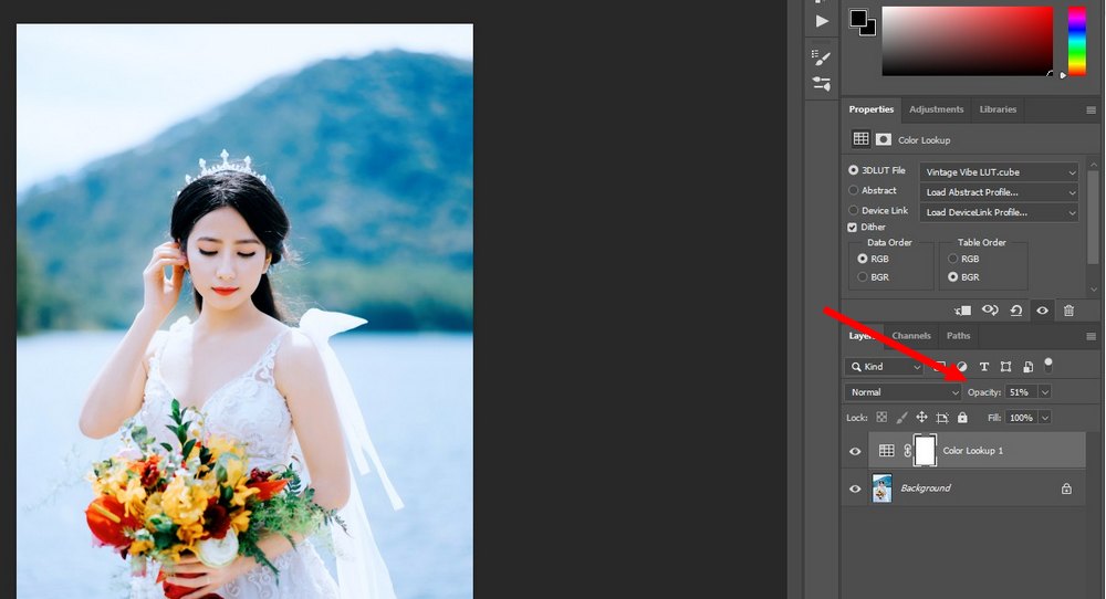Cara Menggunakan LUT di Lightroom & Desainae