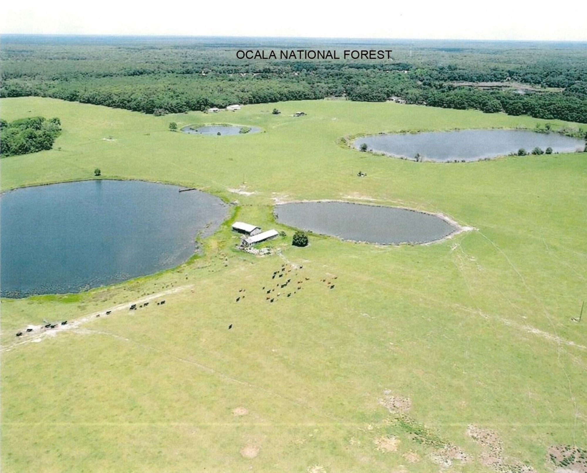 Moss Bluff Ranches The Meadows Team