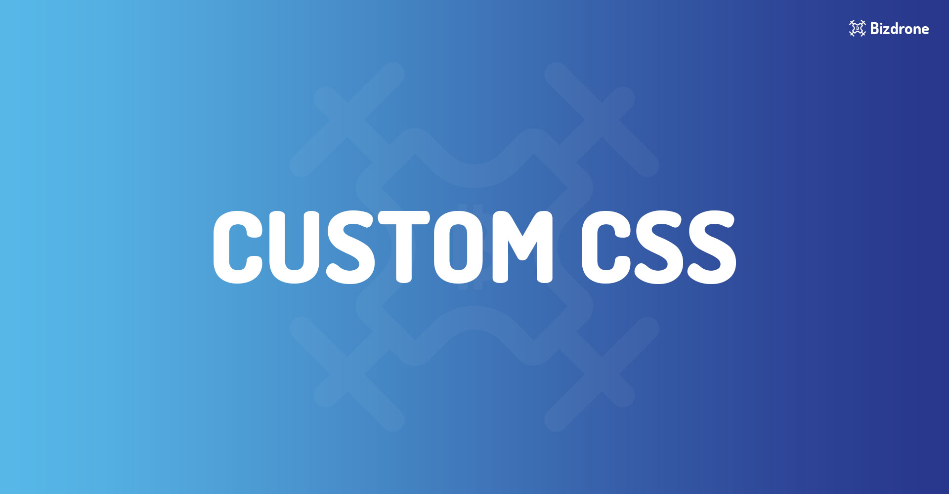Custom Css Bizdrone Documentation