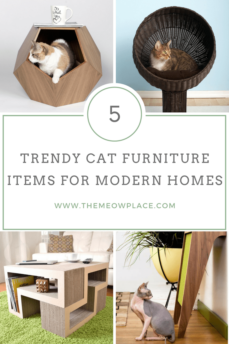 chic cat furniture
