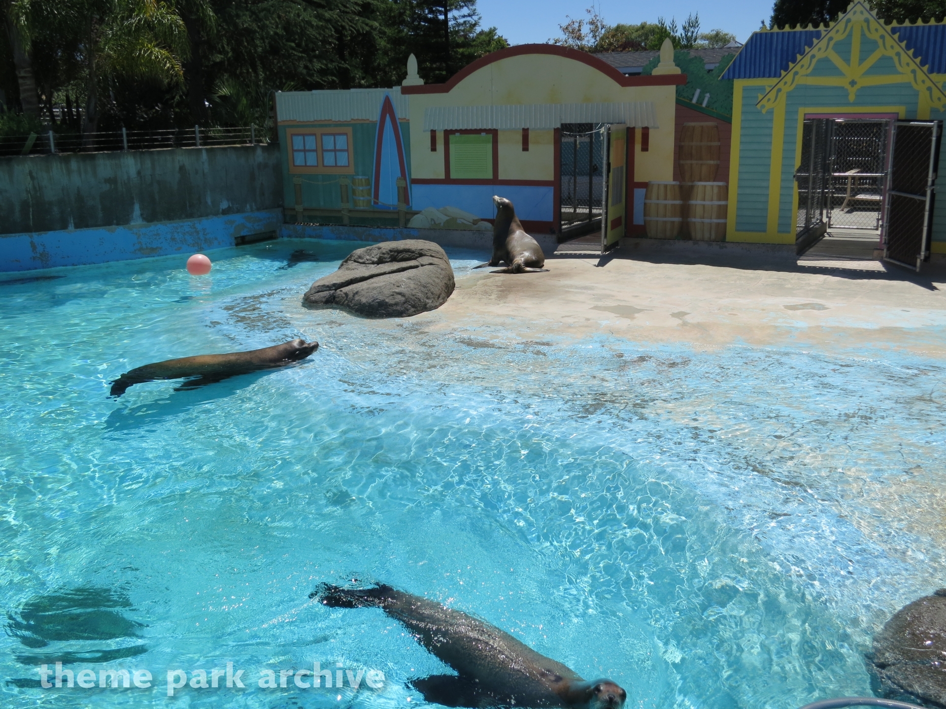 Seal Cove at Six Flags Discovery Kingdom Theme Park Archive