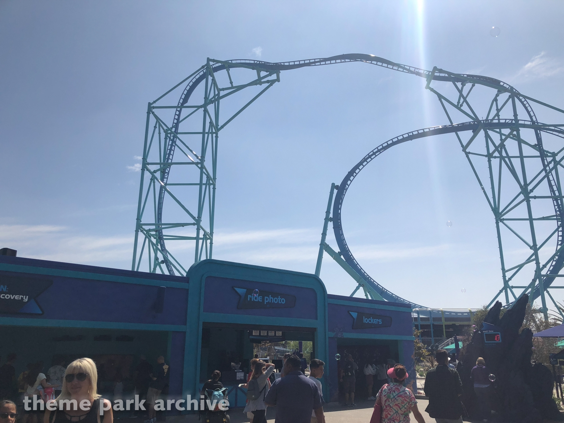 Electric Eel At Seaworld at Roland Stephens blog