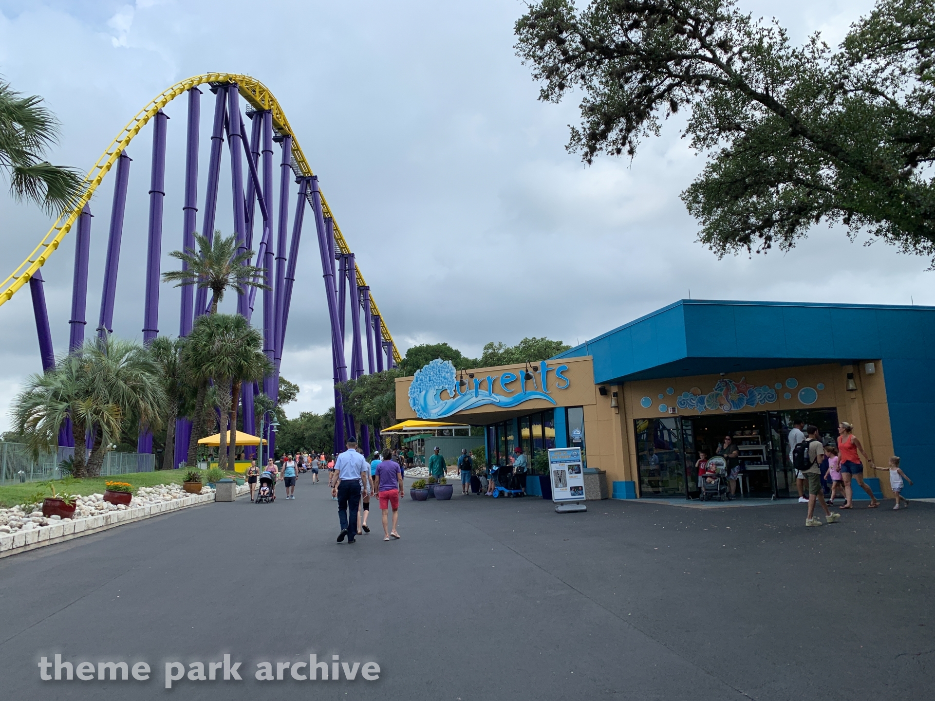 Steel Eel at SeaWorld San Antonio Theme Park Archive