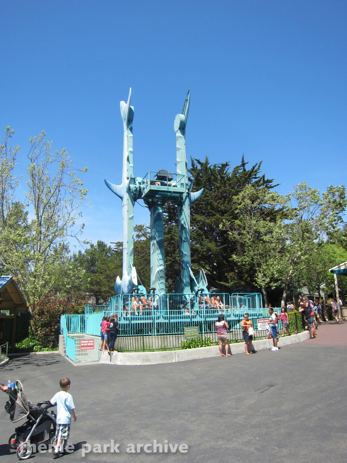 Hammerhead Shark at Six Flags Discovery Kingdom Theme Park Archive