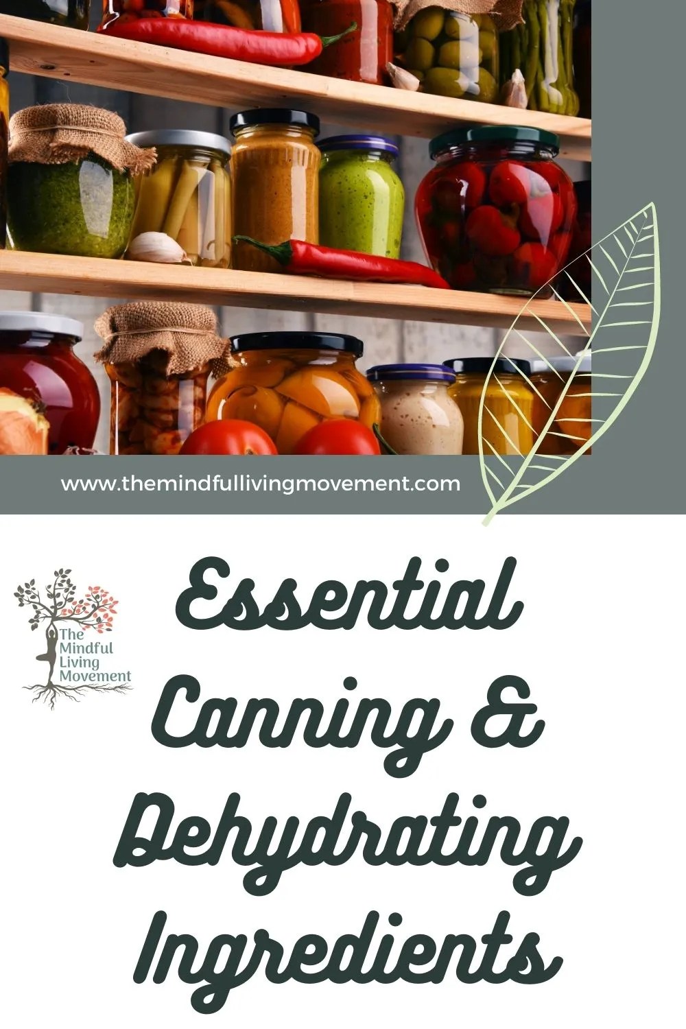 13 Must Have Pantry Ingredients For Easy Canning & Dehydrating The