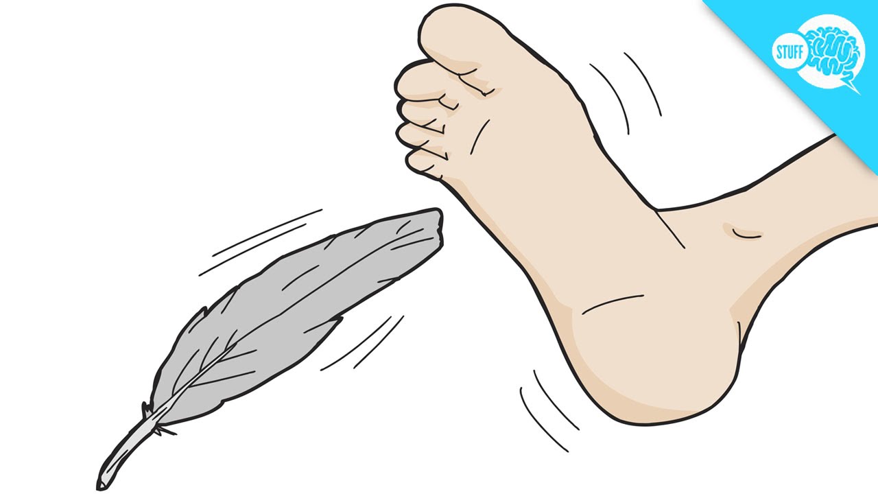 Why Can't You Tickle Yourself? The Mind Voyager