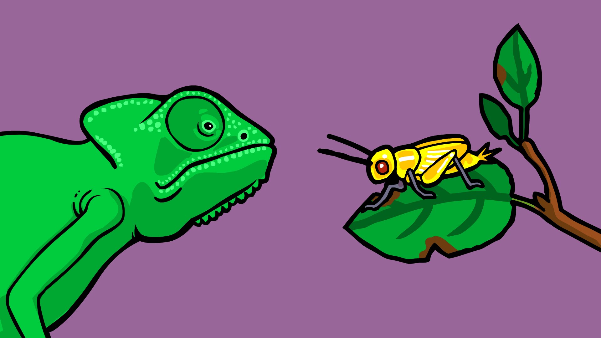 What is Natural Selection? The Mind Voyager