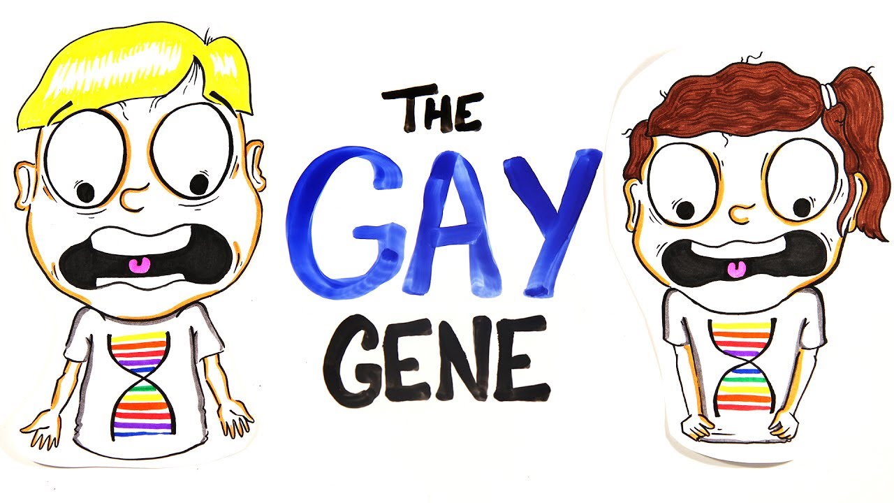 Does Everybody Have A Gay Gene? The Mind Voyager