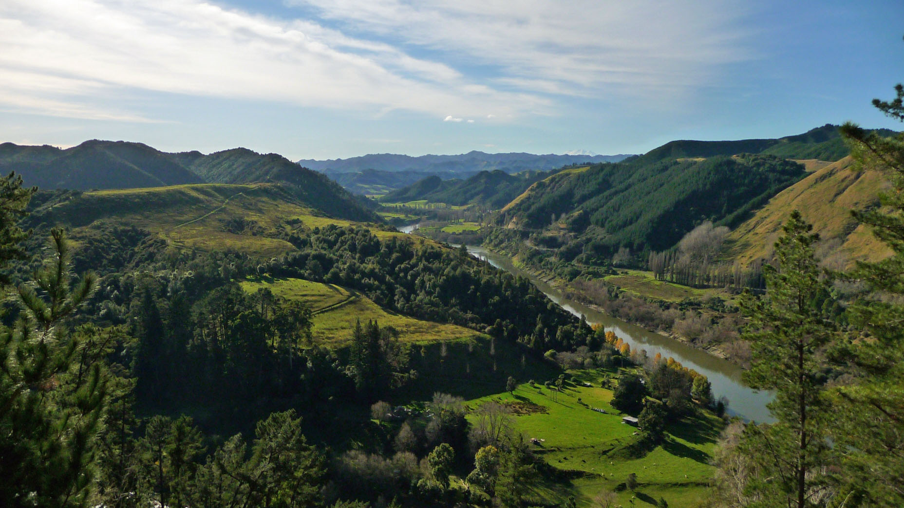 Meander The Missing Year