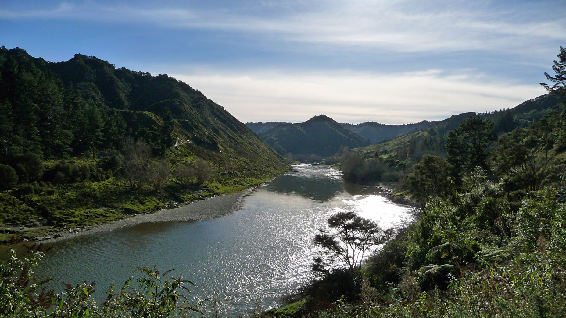 Meander The Missing Year