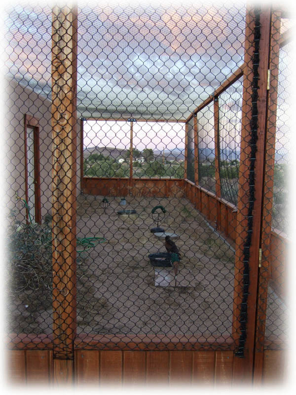 Falconry Mews Requirements