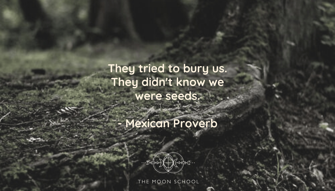They tried to bury us. They didn't know we were seeds. The Moon School(03)