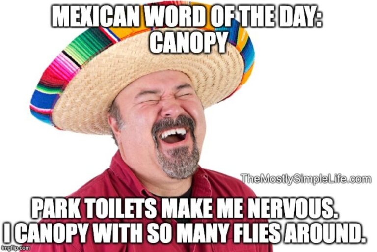 40 Funniest 'Mexican Word of The Day' Memes The (mostly) Simple Life
