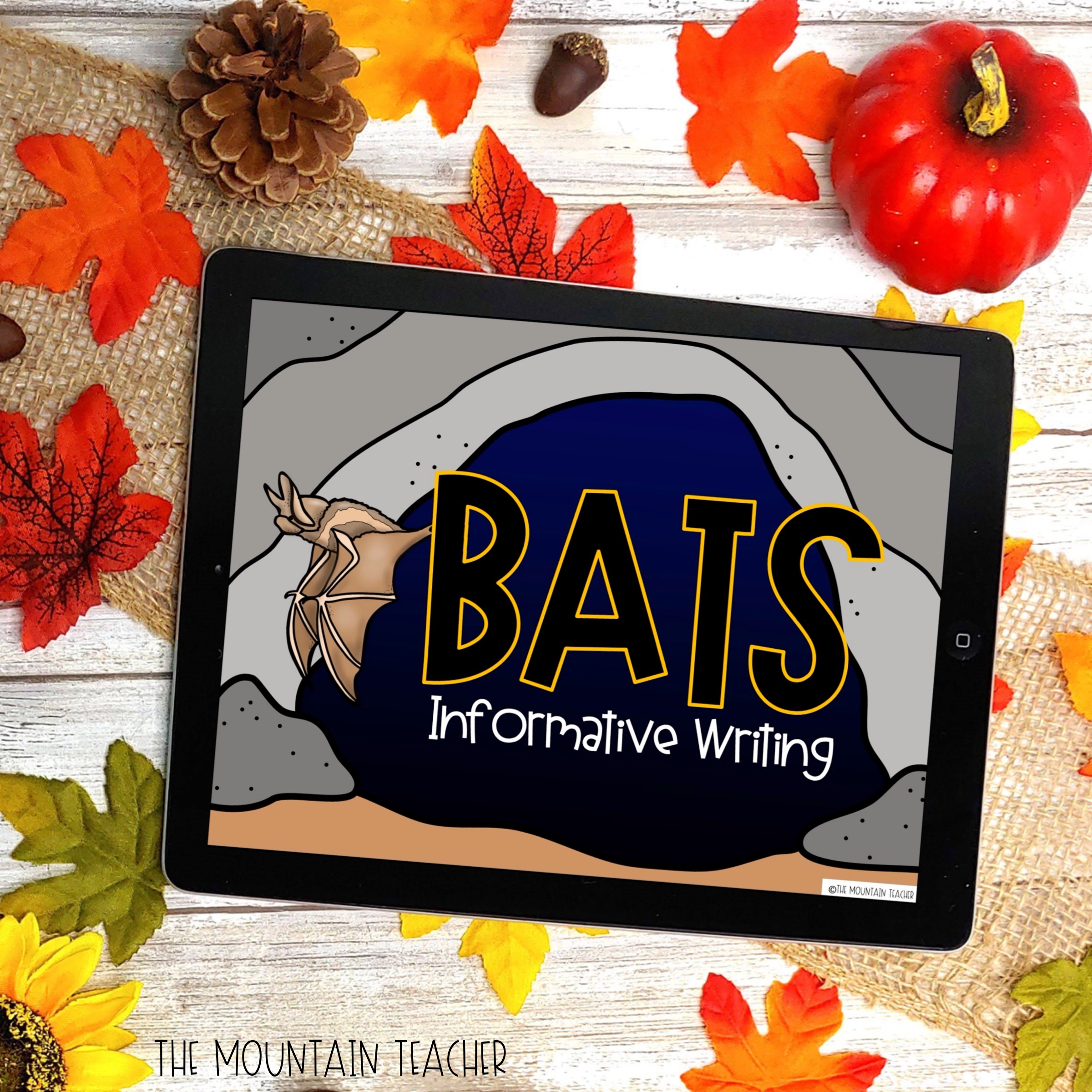 Shatter Student Expectations Students will LOVE Bat Week The