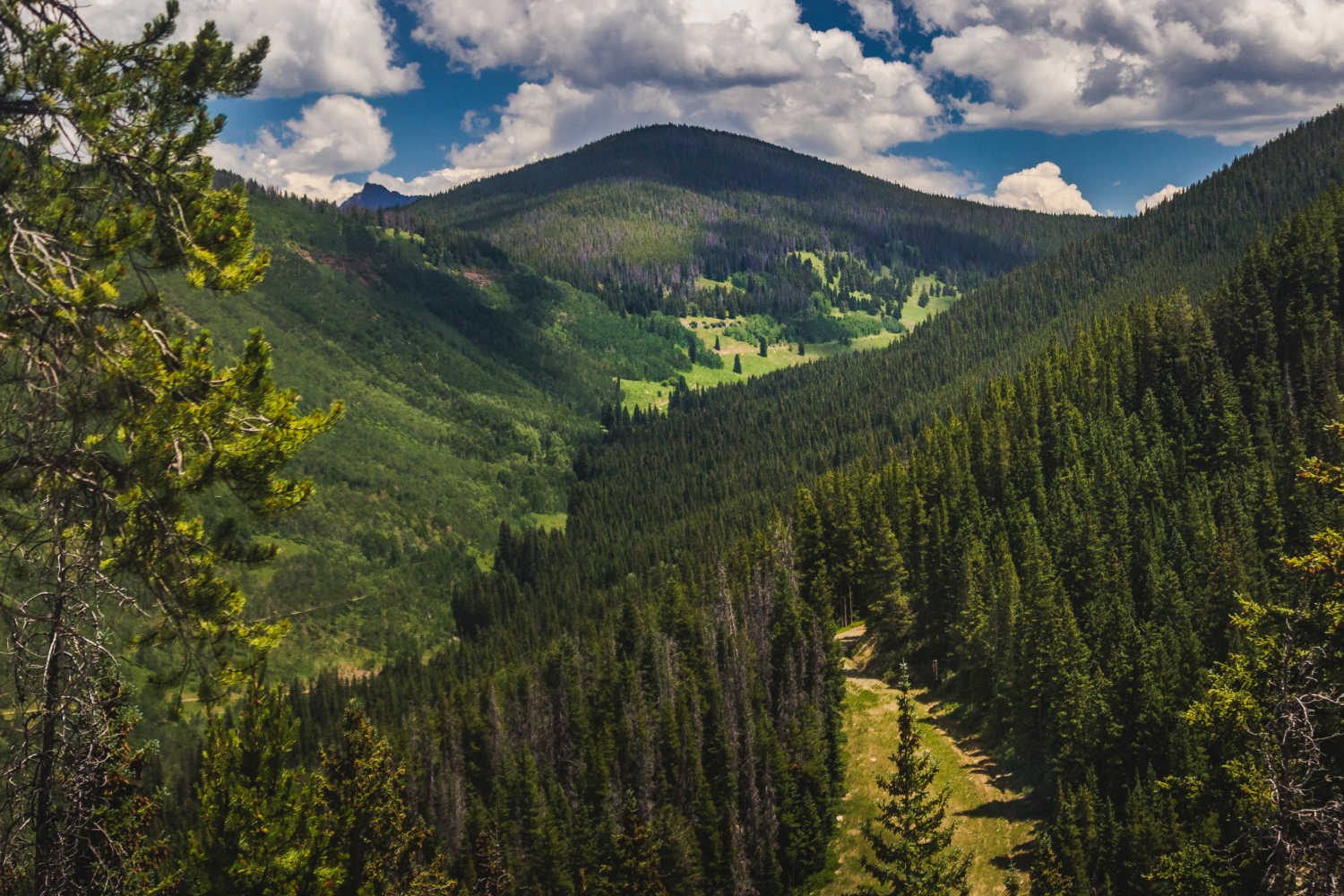 Your Epic Guide to Things To Do in Vail in the Summer The Mountain