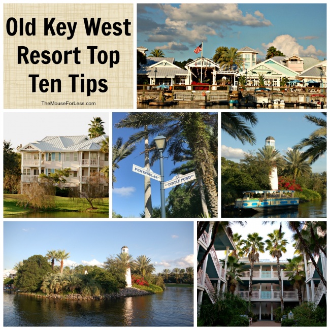 Are Dogs Allowed At Port Orleans French Quarter