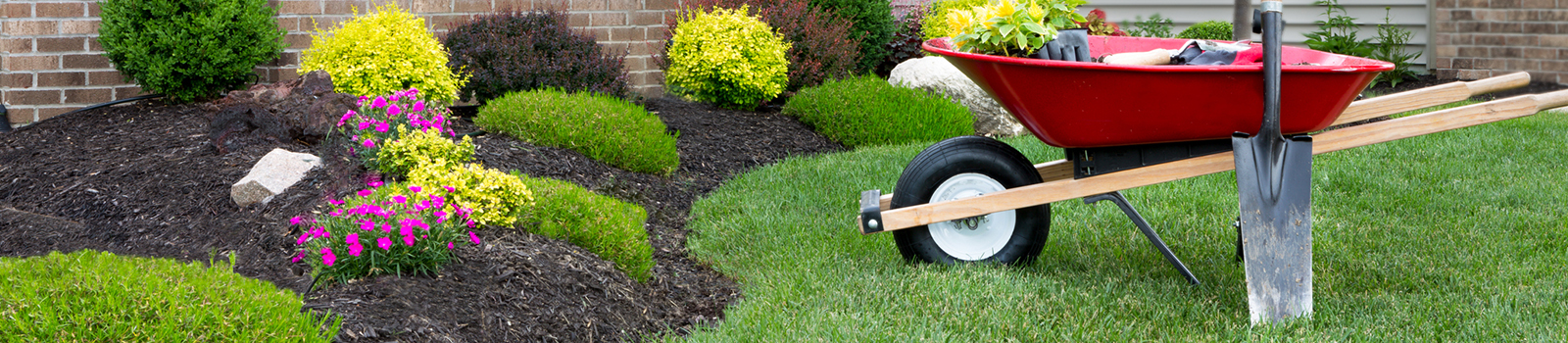 Mulch and Landscape FAQs Mulch, Tree and Shrub Health Mulch Masters