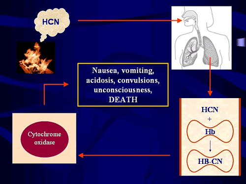 Interesting Facts about IRREVERSIBLE Inhibition