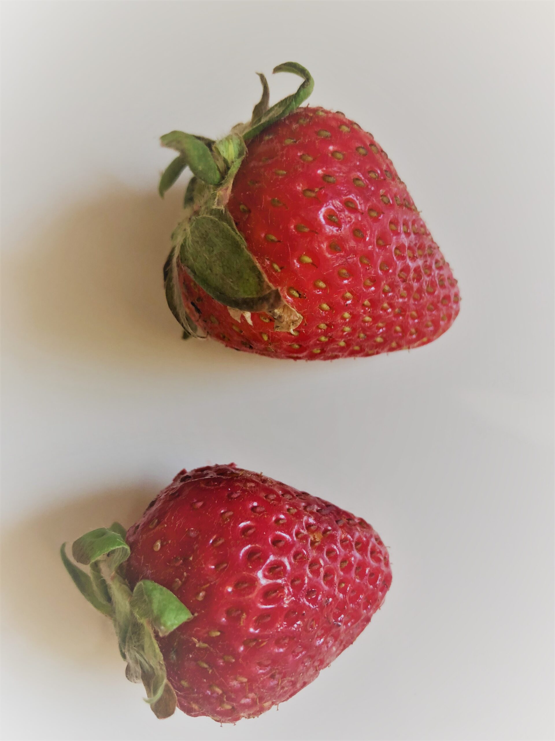 Boosting Your Brain with Strawberries