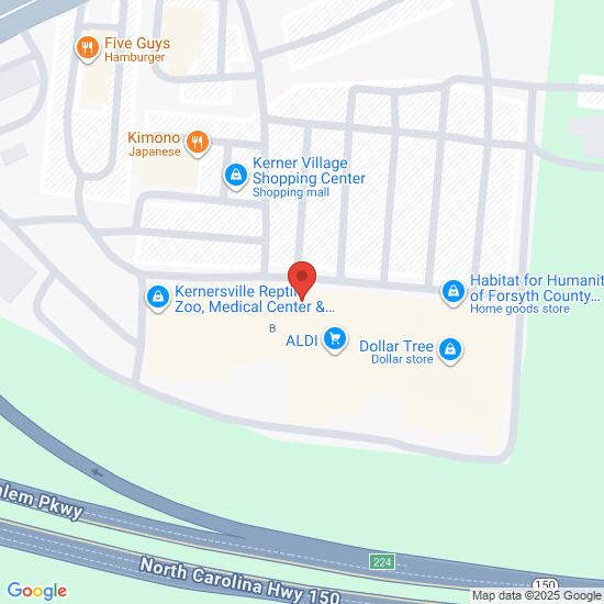 New Dragon Palace Order Online Takeaway food Chinese