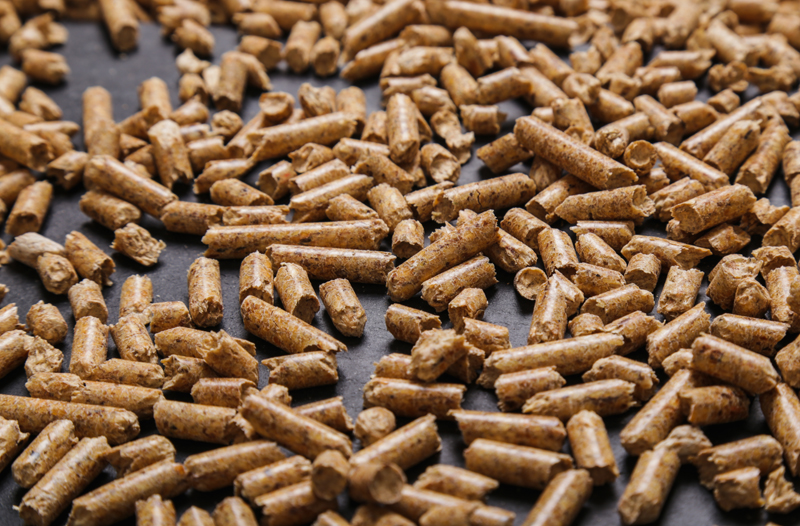 Are Pellet Stoves Worth The Money?