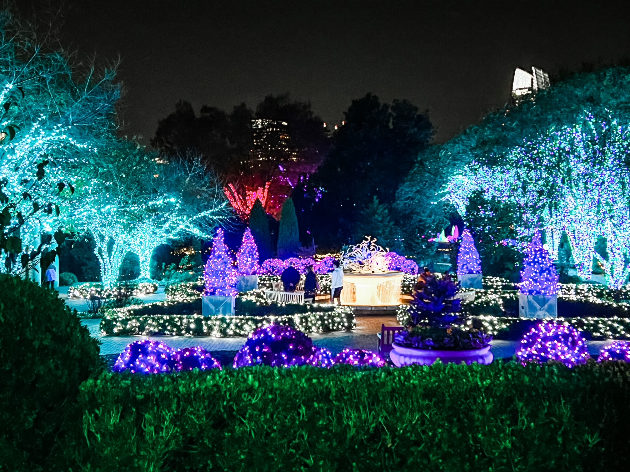 Botanical Gardens Savannah Ga Christmas Lights Fasci Garden