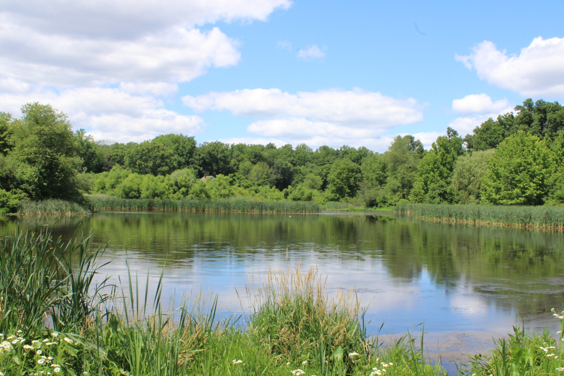 Morris Township Community NJ Real Estate The Oldendorp Group