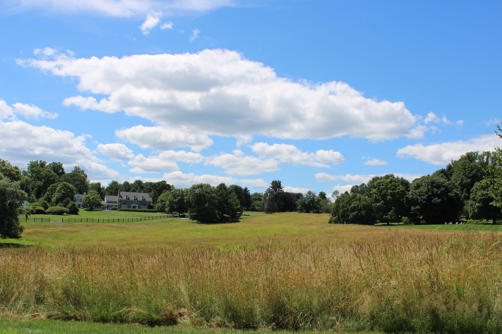 Harding Township NJ Real Estate The Oldendorp Group