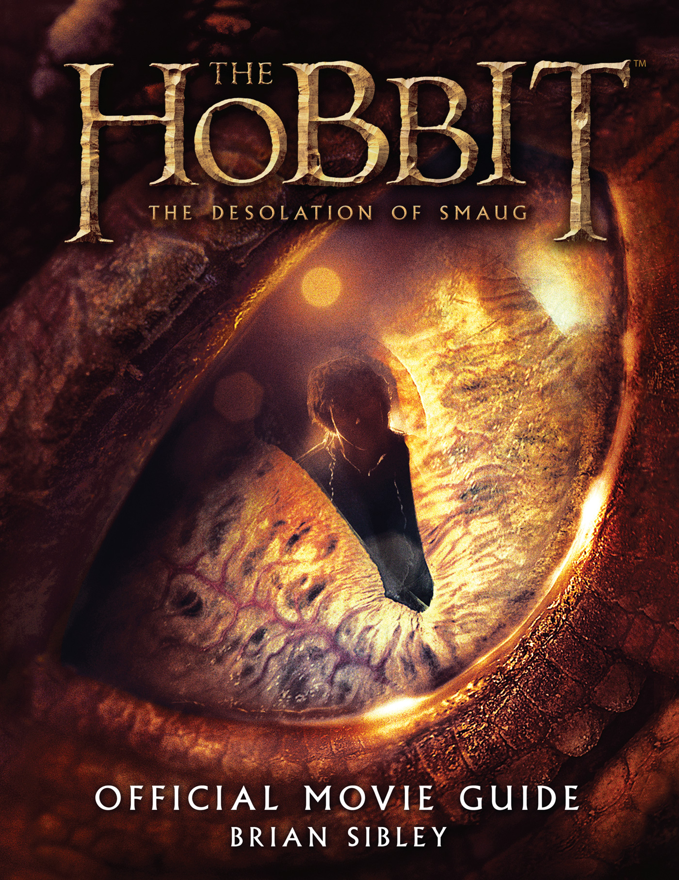 Collecting The Precious The Hobbit The Desolation of Smaug Book TieIns Lord of the Rings