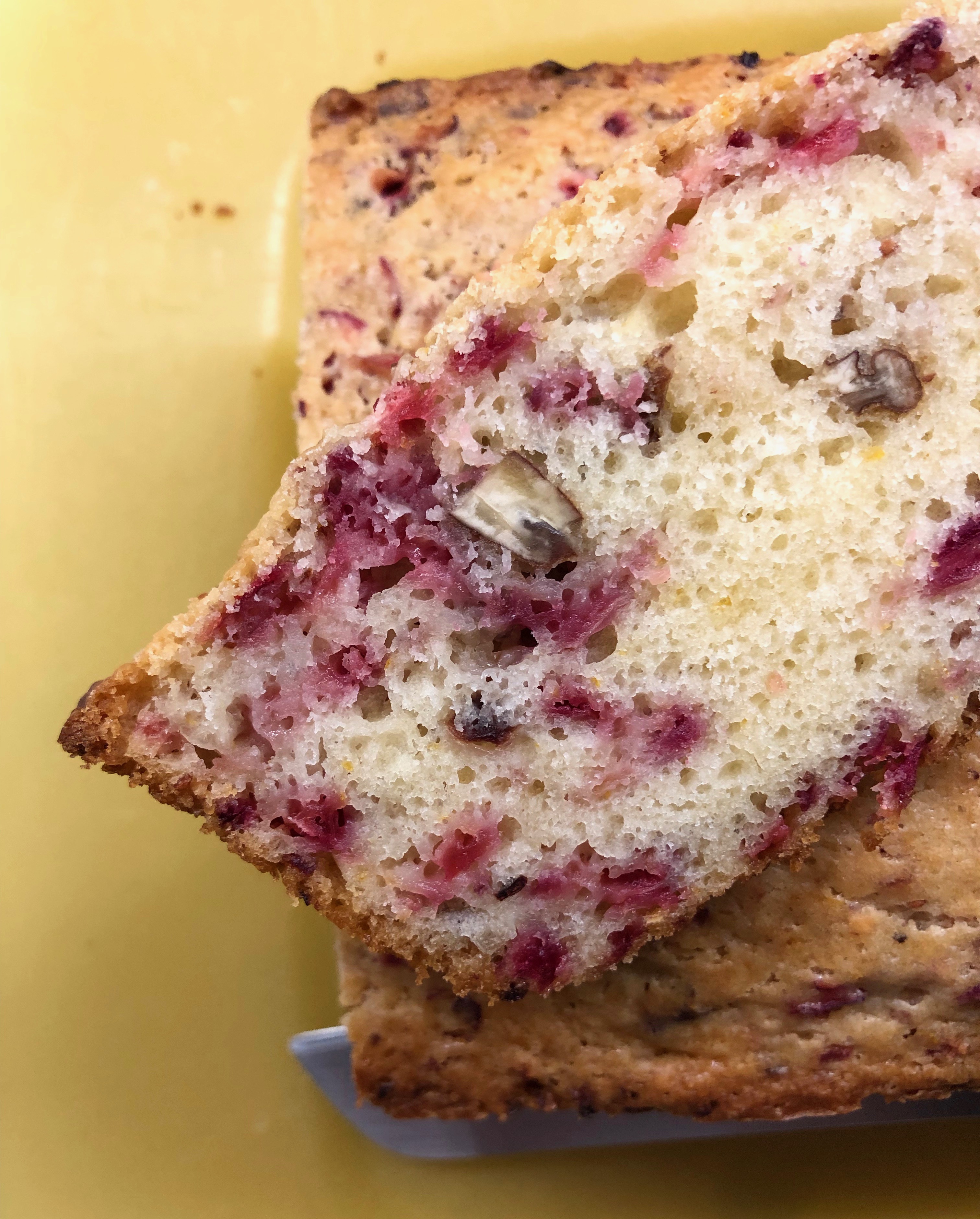 CranberryNut Quick Bread by Cook's Illustrated ⋆