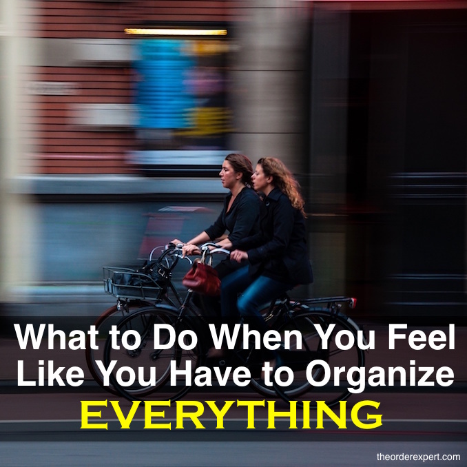 Help! I Have To Organize Everything…Right Now! The Order Expert®