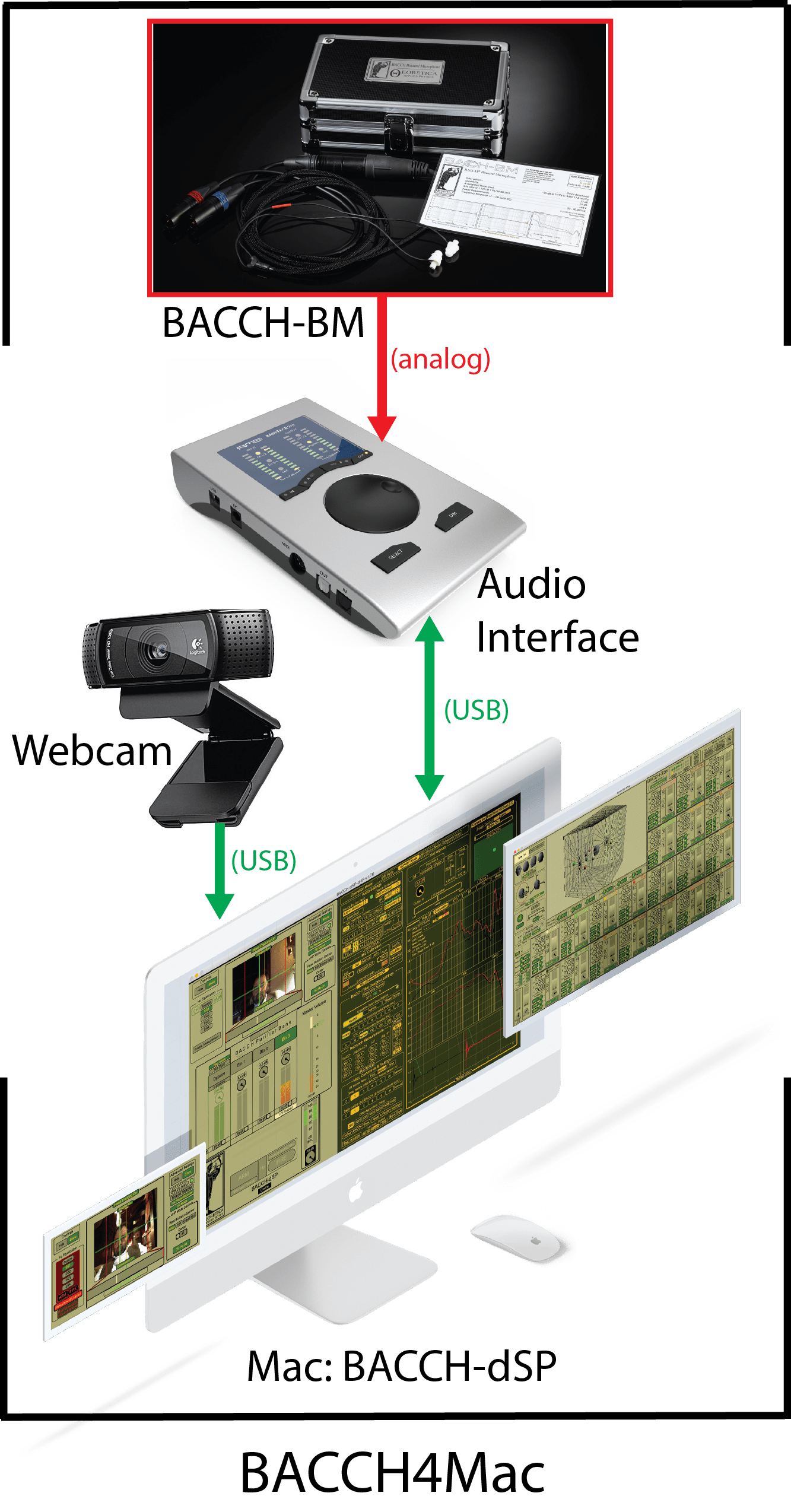 BACCH4Mac | Theoretica Applied Physics