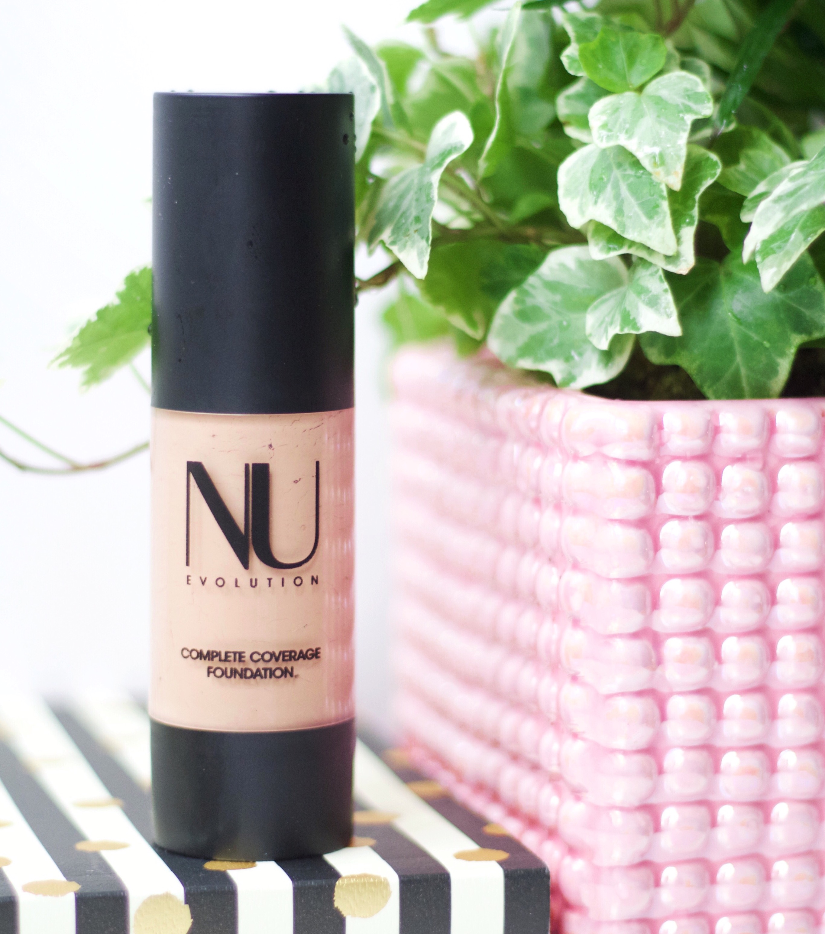 Best Organic Matte Foundation Organic Bunny