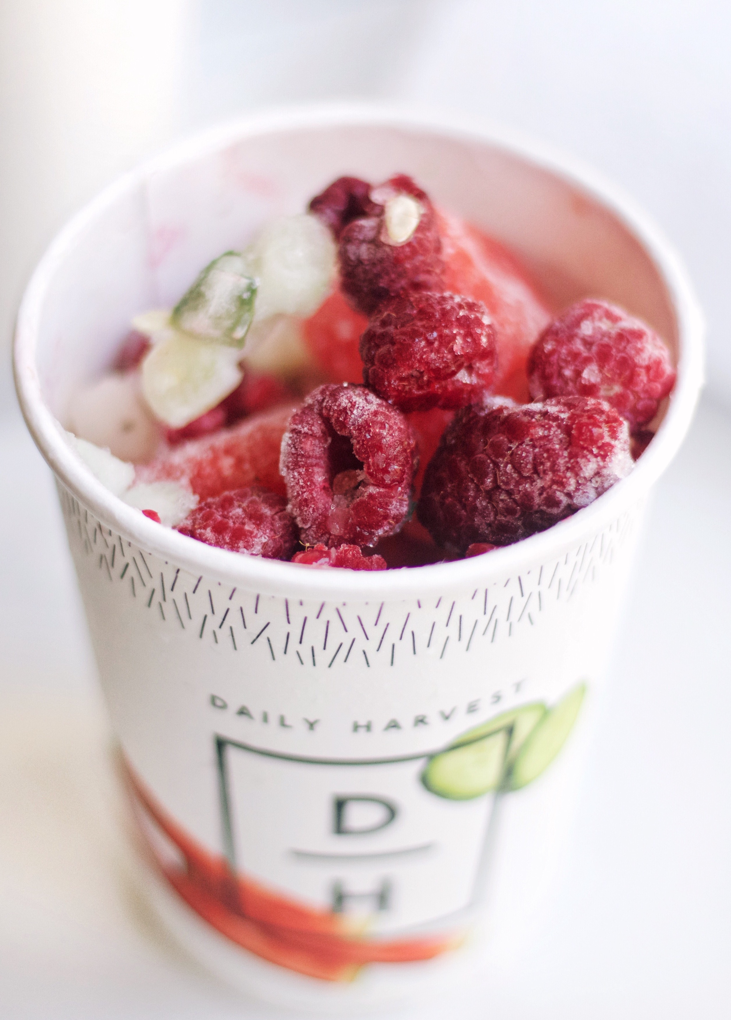 Daily Harvest Organic Smoothies Delivered Organic Bunny