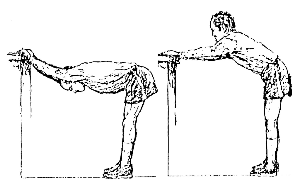 CHEST DROPS Theory of Exercise